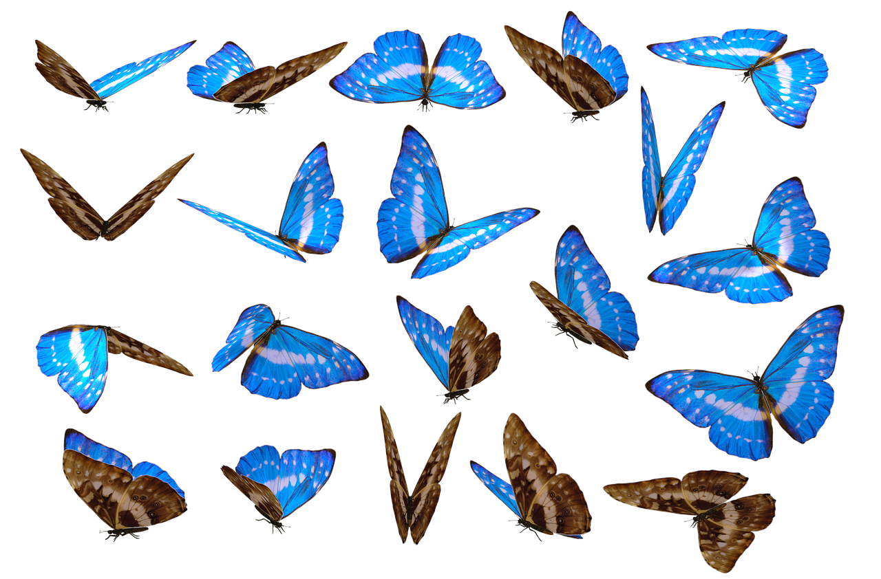 découvrez des expériences uniques qui vous emportent dans des aventures inoubliables. que ce soit des activités insolites, des découvertes culturelles ou des escapades mémorables, plongez dans un monde d'émotions et de surprises.